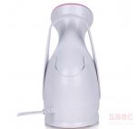 金稻KD-2331纳米离子蒸脸器美容仪蒸脸机家用美容补水神器